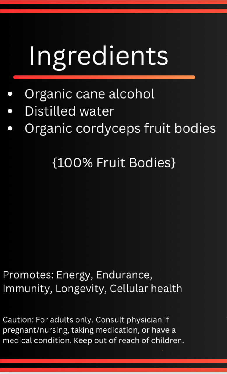 Cordyceps Dual Extract Tincture (3 pack)