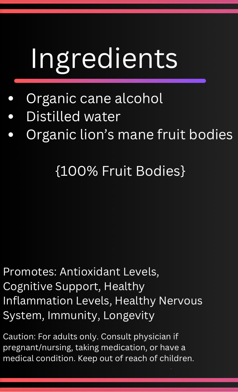 Lion’s Mane Dual Extract Tincture(1 pack)